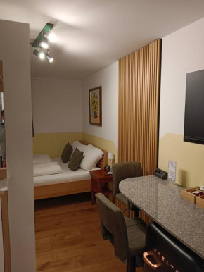 1 Zimmer Appartement nahe Gmunden Top2